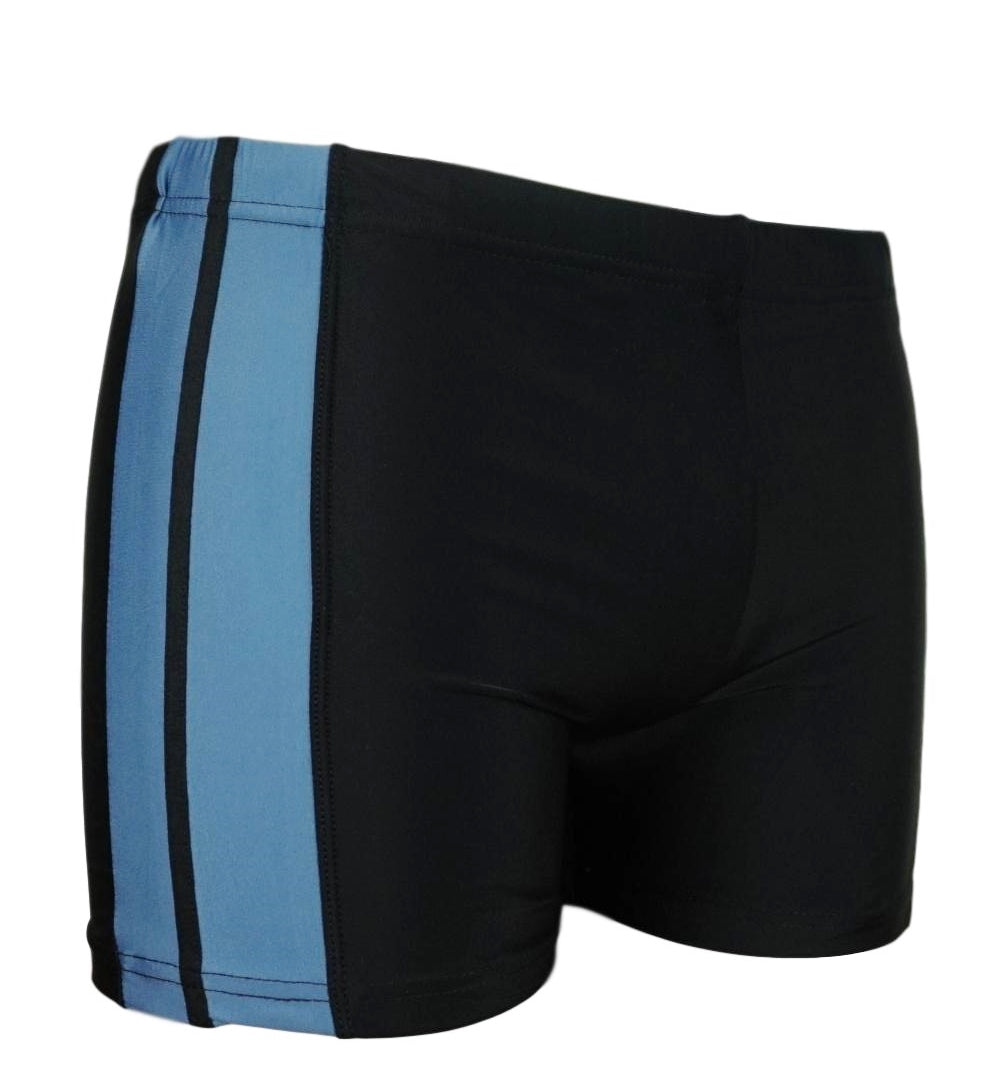 High-quality image of zwemboxer vlieland grijs