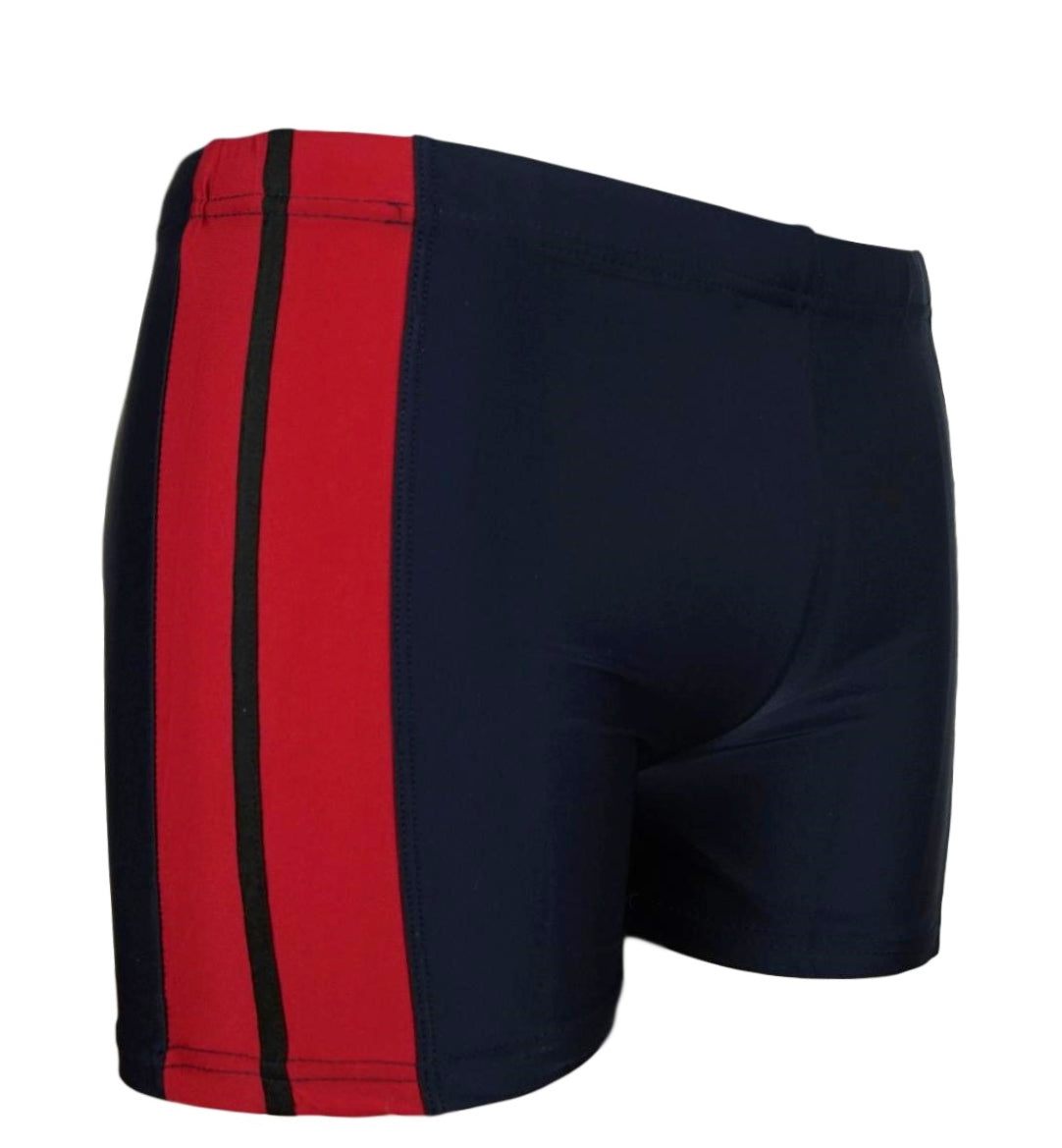 High-quality image of zwemboxer vlieland marine